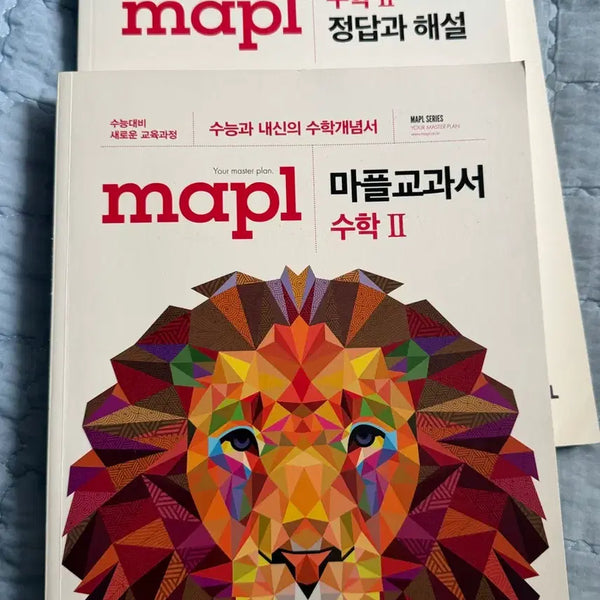 [BUNJANG] Maple Textbook Calculus 2 / 마플교과서 수2