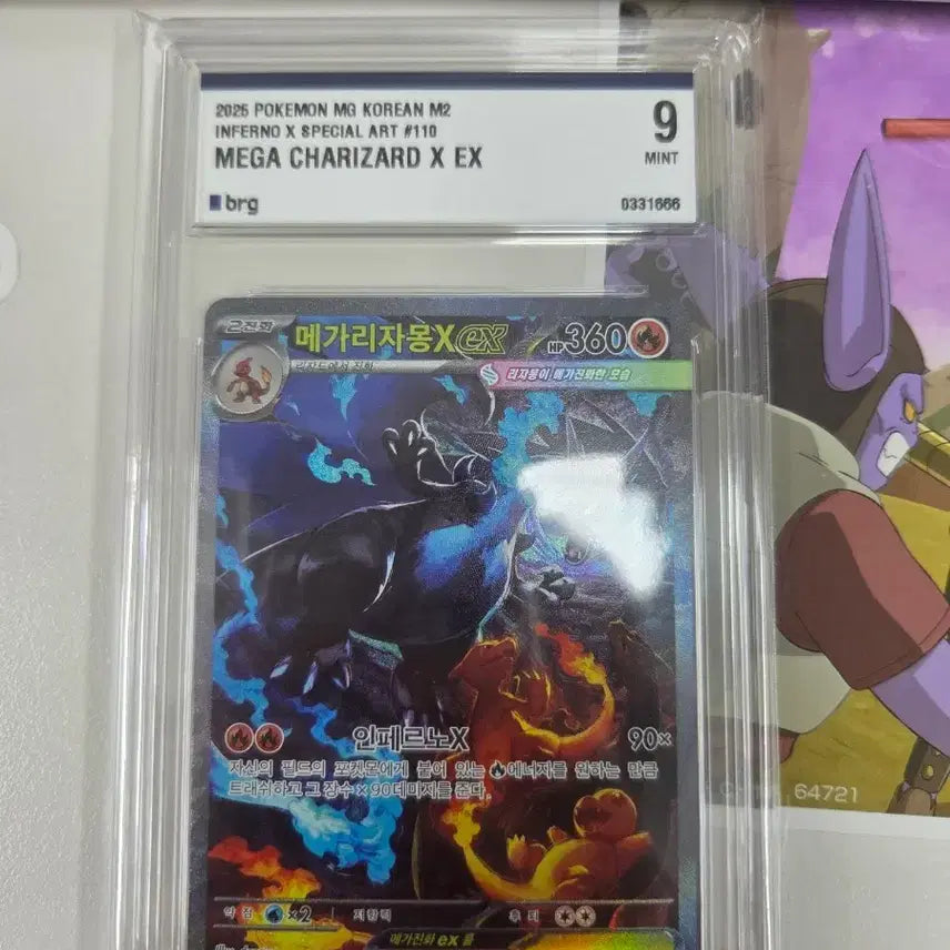 [BUNJANG] Pokemon Mega Charizard X SAR Grade 9 / 택포34) 포켓몬 메가 리자몽X SAR 9등급