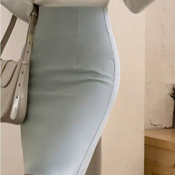 [BUNJANG] H-Line Skirt Sky Blue Size M / H라인 스커트( 하늘색. m사이즈)