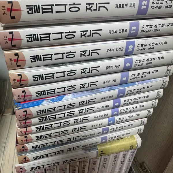 [BUNJANG] Delpinia Chronicle Complete Set Volumes 1-12 / 델피니아 전기 개인 소장본 1-12권