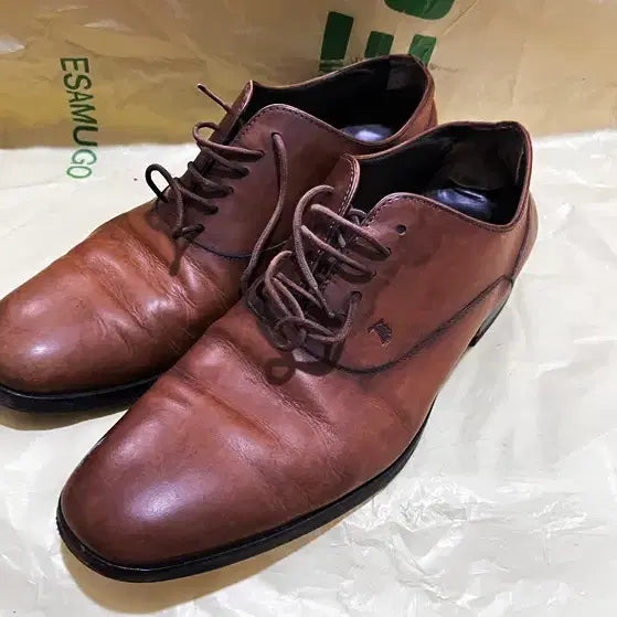 [BUNJANG] Tod's Men's Shoes Size 260 / 토즈 남성 구두 260