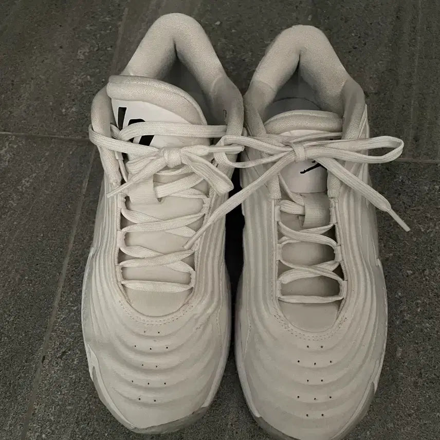 [BUNJANG] Nike Jordan Sneakers Size 250 / 나이키 조던 운동화 250