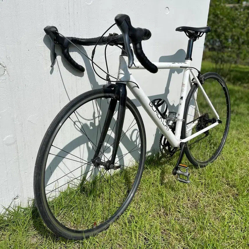 [BUNJANG] Black Cat Time Carbon Fork Road Bike / 블랙캣(Black Cat) 타임 카본 포크 로드 자전거