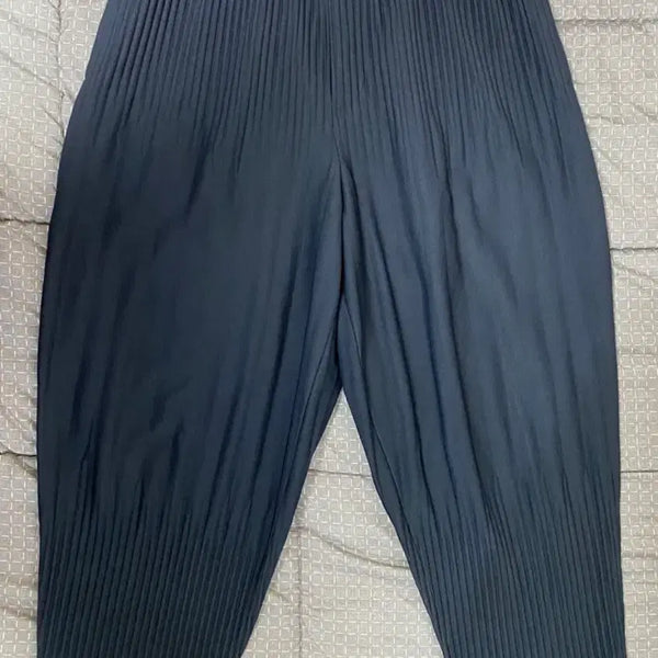 [BUNJANG] Homme Plissé JF151 Pants Navy Size 2 / 옴므플리세 JF151 팬츠 네이비 2