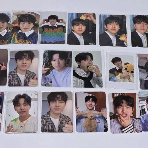 [BUNJANG] Day6 Young K Bundle Set Photocard / 데이식스 도운 포카 일괄