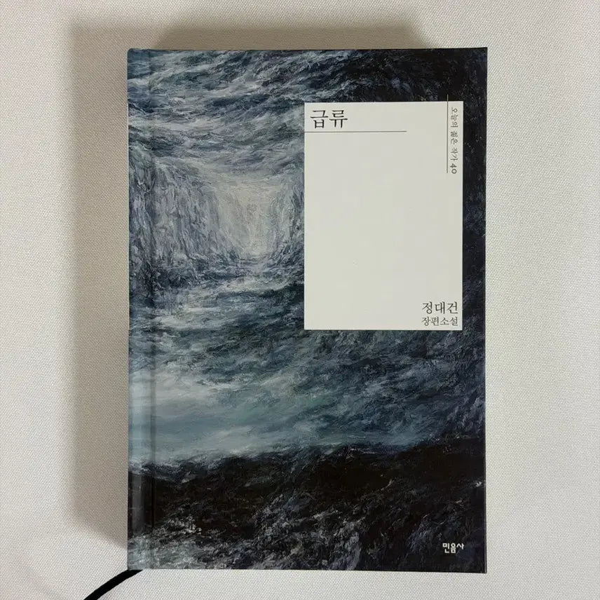 [BUNJANG] Jeong Dae-geon Novel 'The Rapids' | Today's Young Writer Series 40 / 정대건 소설 급류 | 오늘의 젊은 작가 40