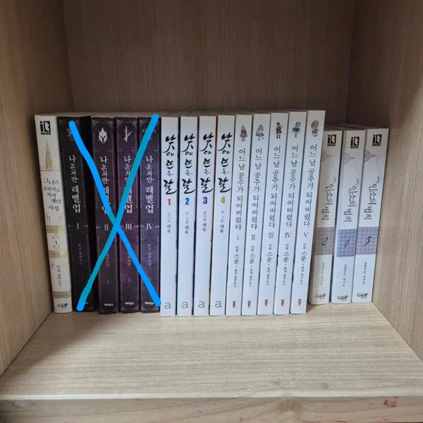 [BUNJANG] Solo Leveling, The Moon That Rises During the Day, Who Made Me a Princess, Trash of the Count's Family Complete Set / 웹툰 단행본 일괄 처분 나혼렙 낮뜨달 인소의 법칙 어공주