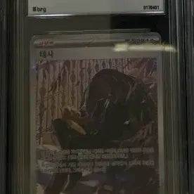 [BUNJANG] Pokemon S&V Ruler of the Black Flame #130 Geeta (Tessa) Card - GEM MT 10 / BRG10 SAR 테사