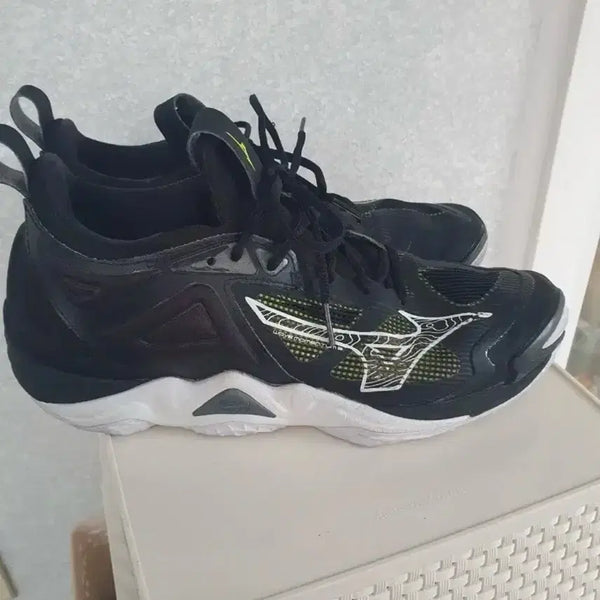 [BUNJANG] Mizuno Wave Momentum 3 Volleyball Shoes - Black, 275 / 미즈노 웨이브 모멘텀3 블랙 배구화 275
