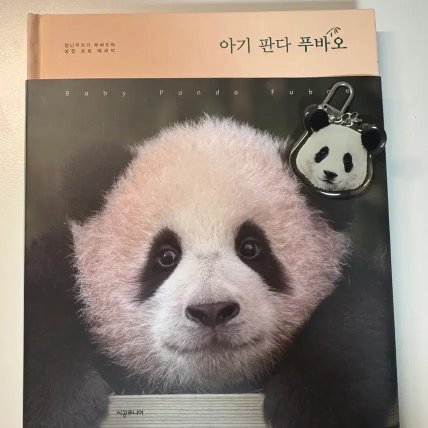 [BUNJANG] Fu Bao Book Bundle with Keyring / 푸바오 책 + 키링 일괄 판매