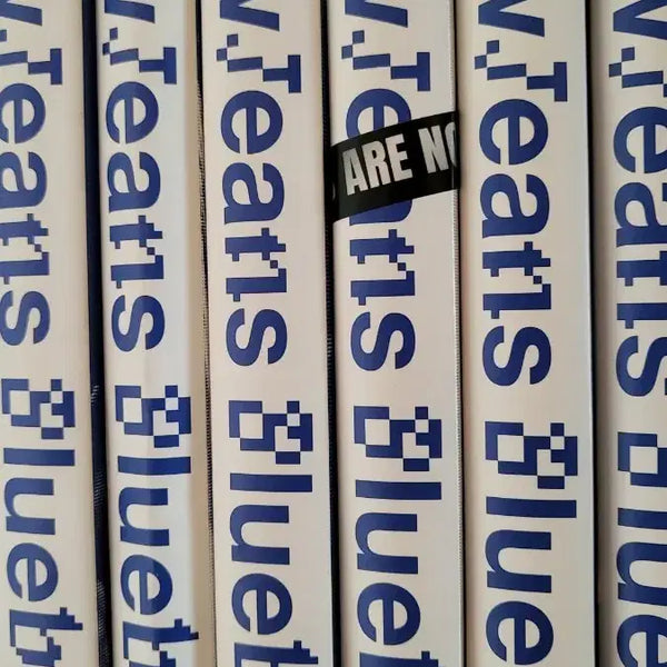 [BUNJANG] NewJeans 1st Album Blue Book Bundle Set / 뉴진스 블루북 1집 6개 일괄 앨범 단체하니민지다니엘해린혜인세트 처분