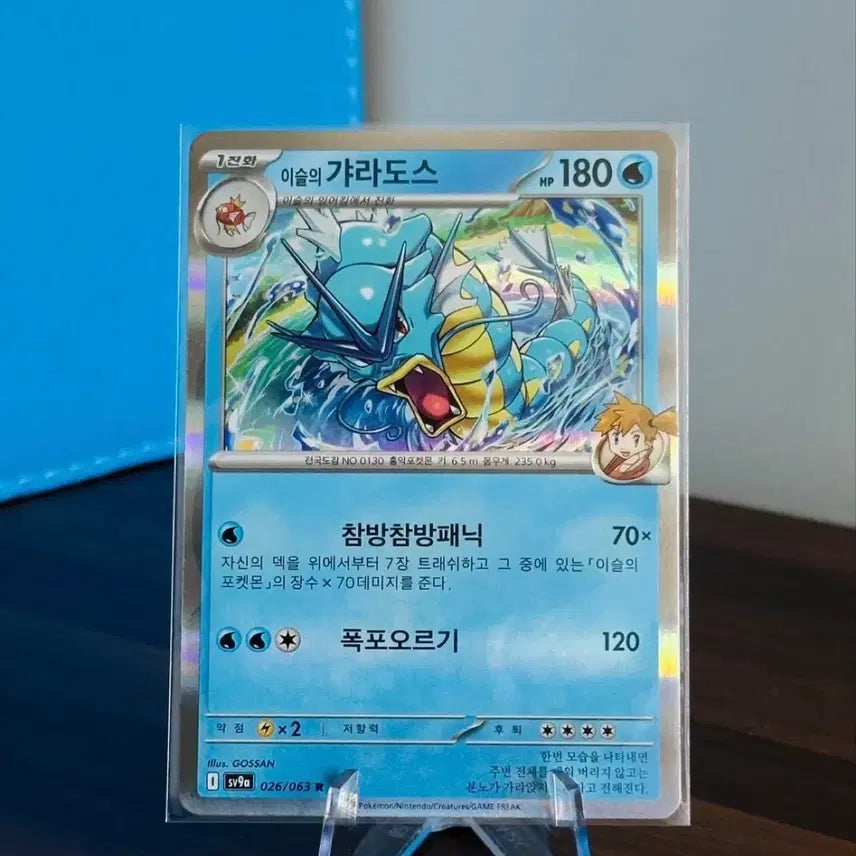 [BUNJANG] Pokemon Card Eevee's Gyarados R / 포켓몬 카드 이슬의 갸라도스 R