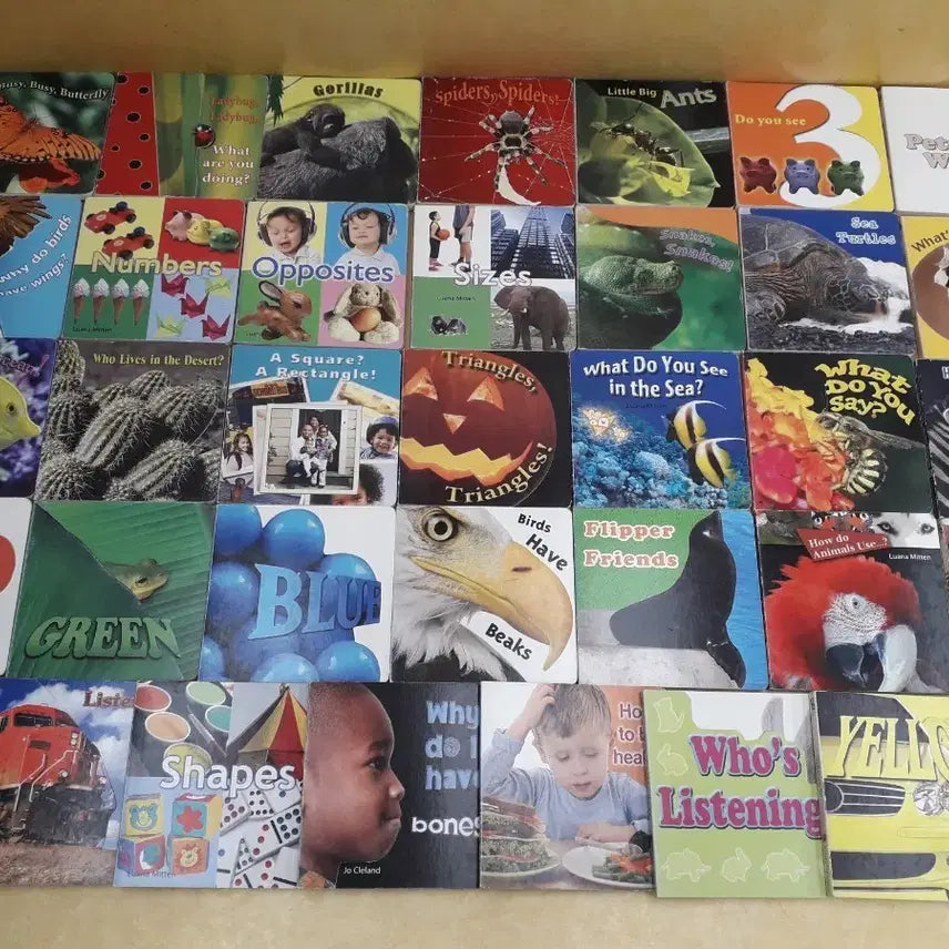 [BUNJANG] Rourke Publishing RBB Roucke Board Books Set / Rourke Publishing RBB Roucke Board Books