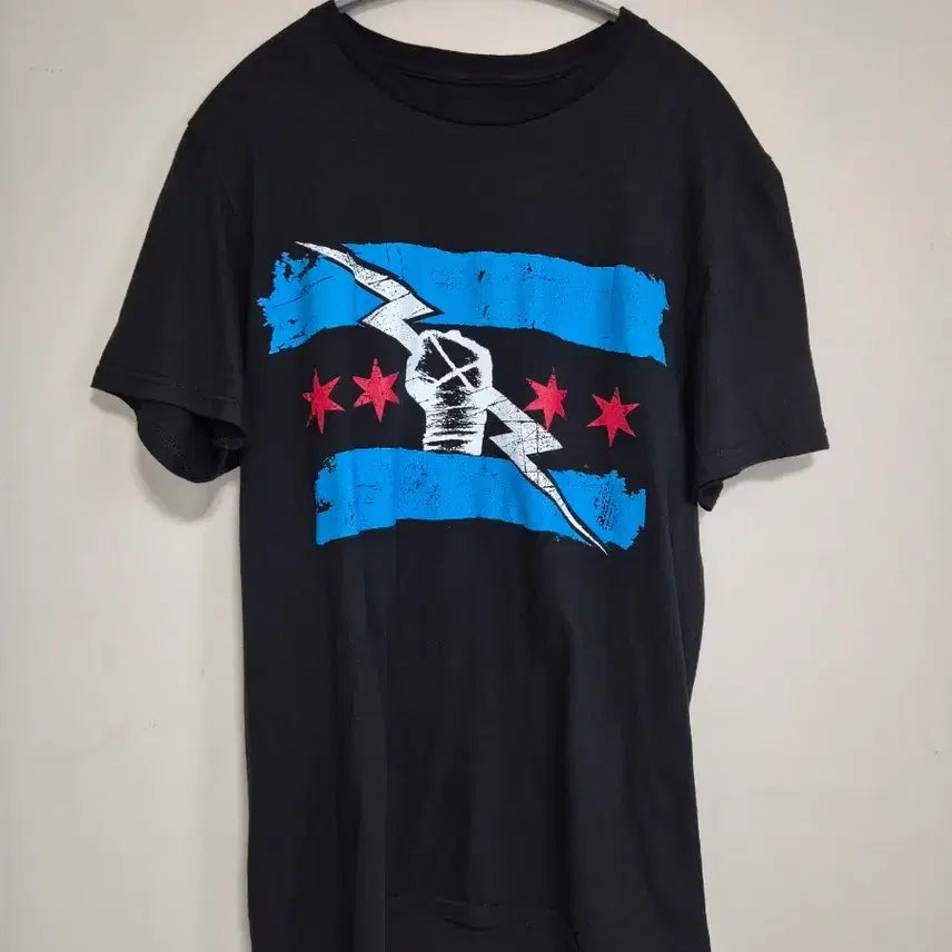 [BUNJANG] WWE CM Punk T-Shirt (M) / WWE CM 펑크 티셔츠 M