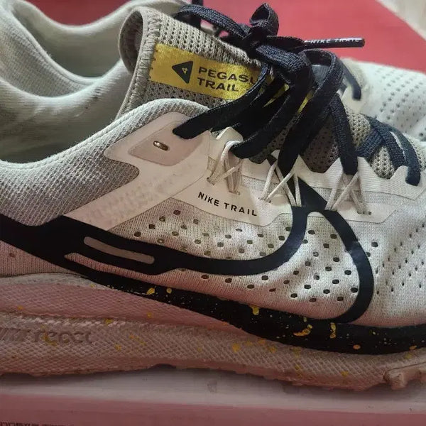 [BUNJANG] Nike Pegasus 255mm Trekking Shoes Sneakers / 나이키 PEGASUS 트레킹화 스니커즈 255mm