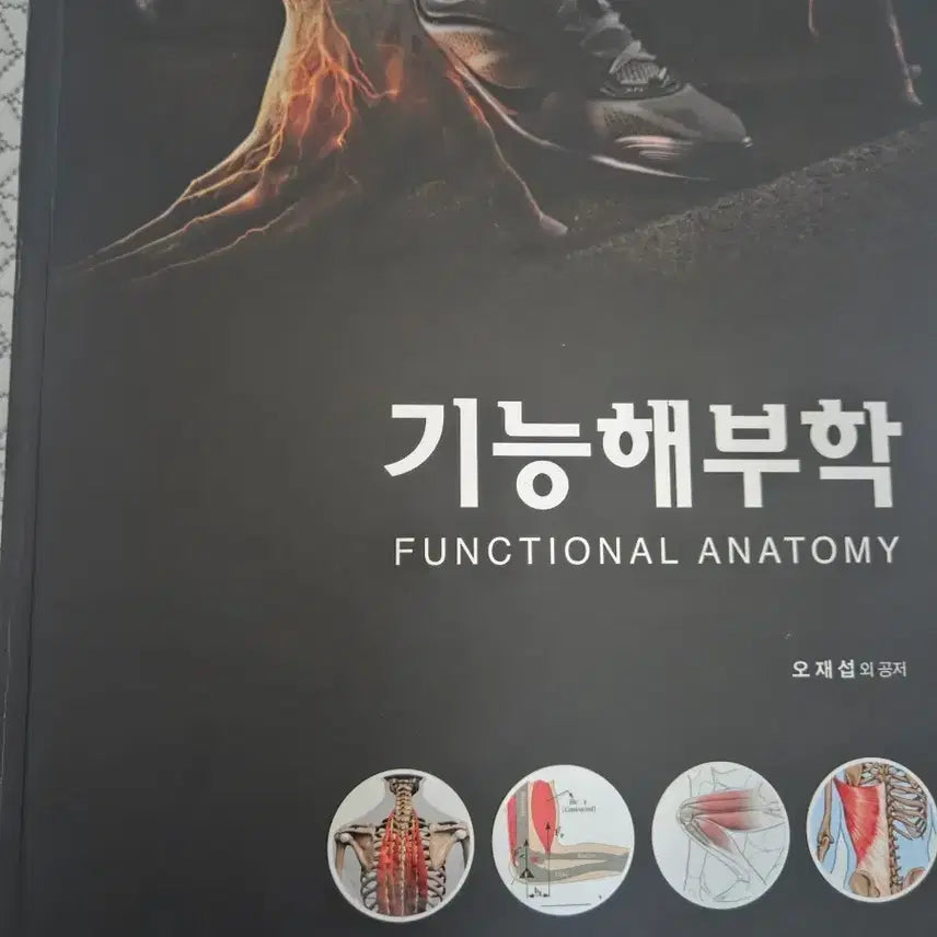 [BUNJANG] Anatomy Textbook / 기능해부학