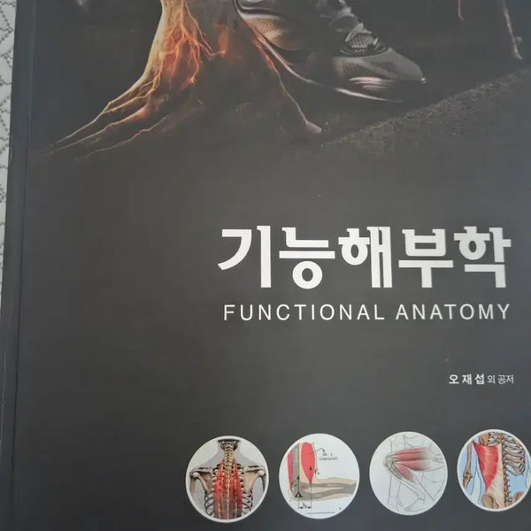 [BUNJANG] Anatomy Textbook / 기능해부학