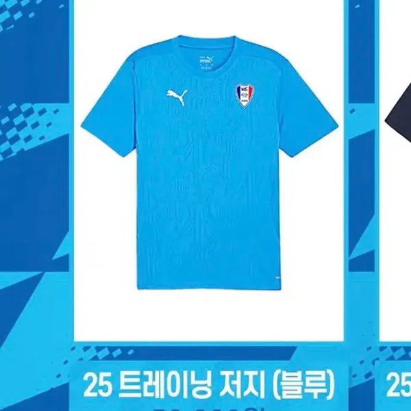 [BUNJANG] Suwon Samsung Bluewings 25 Season Training T-Shirt - Large / [L] 수원삼성블루윙즈 25시즌 트레이닝 반팔 새제품
