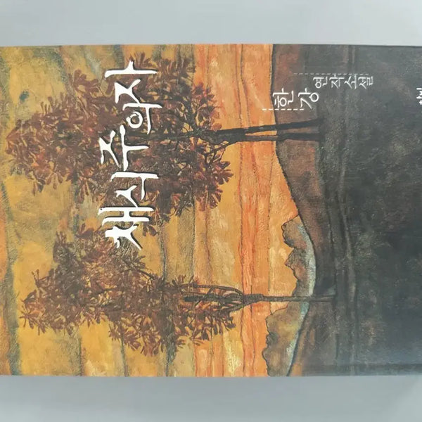 [BUNJANG] The Vegetarian Novel by Han Kang / 책 도서 채식주의자 한강