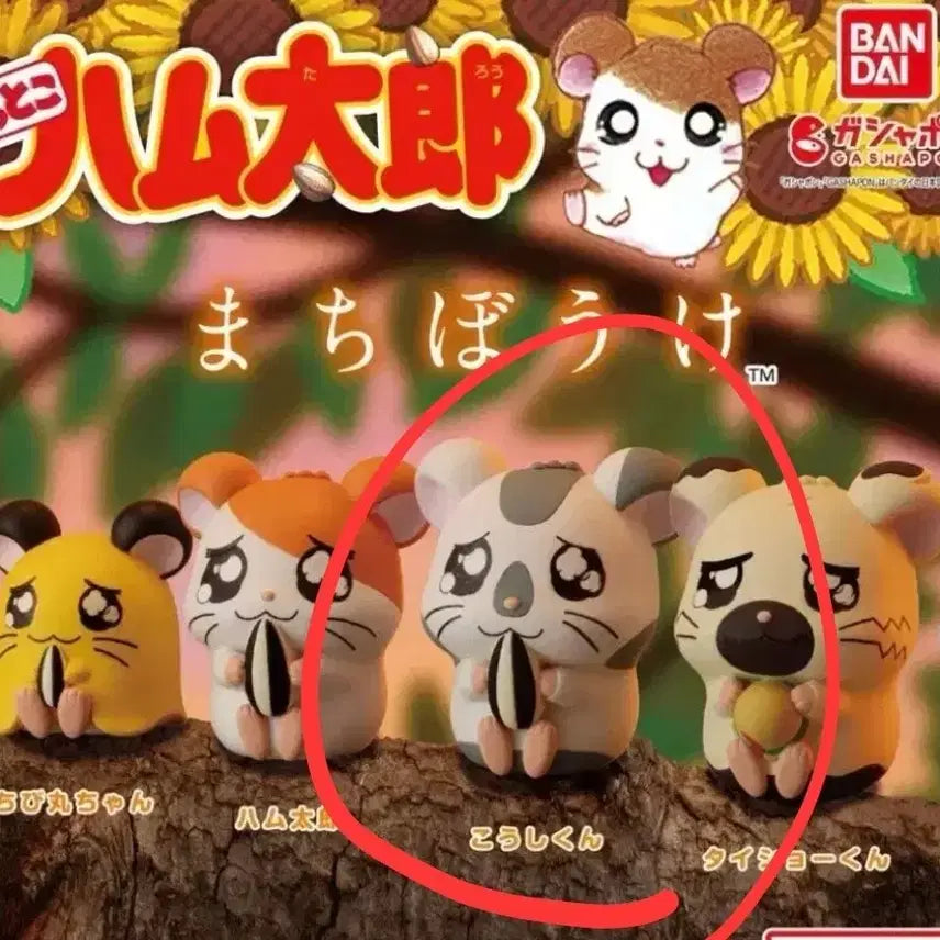 [BUNJANG] Yamnyami Hamtori Machi Boke Gacha (Sealed) / (얌냠이 미개봉) 햄토리 마치보케 언제오려나 가챠
