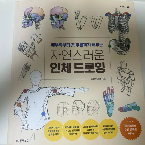 [BUNJANG] Natural Human Body Drawing Book / 드로잉책 팝니다 (자연스러운 인체 드로잉)
