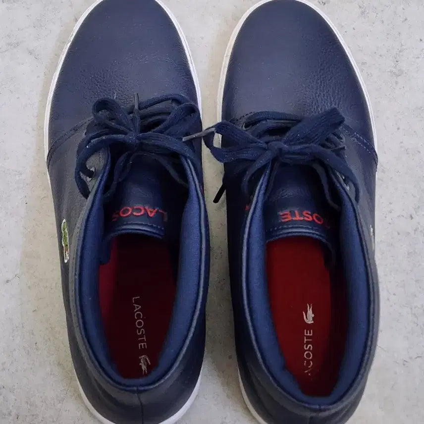 [BUNJANG] Lacoste Navy Leather Sneakers (Men's) / 상태 좋은 남성용 라코스테 네이비색 가죽 스니커즈  280. 275