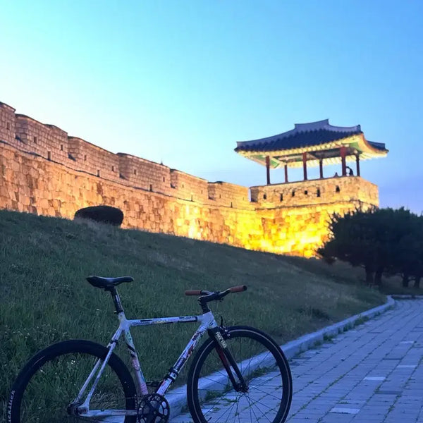[BUNJANG] Belloline Temptation Pixie Custom Decal Bicycle / 벨로라인 템테이션