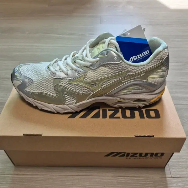 [BUNJANG] Mizuno Wave 10 Running Shoes / 미즈노 웨이브 10 런닝화