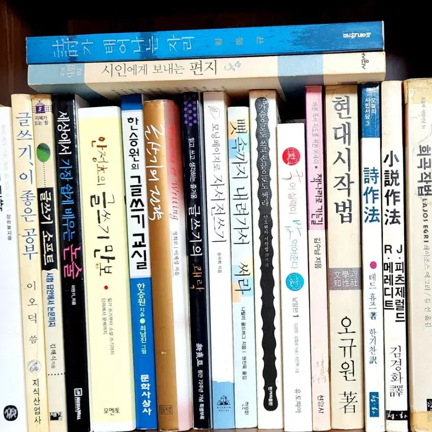 [BUNJANG] Writing Skills Books (24 Volumes) / 글 쓰기 관련 도서(권당 5000원)