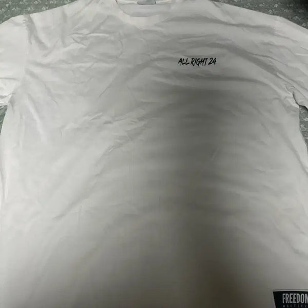 [BUNJANG] Olaite 24 Freedom Oversized Short-Sleeve T-Shirt 3XL / 올라잇 24 프리덤 오버핏 반팔티 3xl