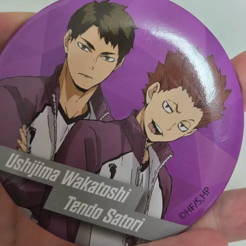 [BUNJANG] Haikyu!! Ushijima Wakatoshi & Tendo Satori Daiso Can Badge Mirrors (Bundle Set) / 일괄 0.15) 하이큐 우시지마, 텐도 다이소 캔뱃지 거울