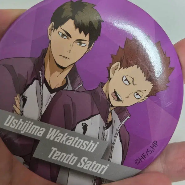 [BUNJANG] Haikyu!! Ushijima Wakatoshi & Tendo Satori Daiso Can Badge Mirrors (Bundle Set) / 일괄 0.15) 하이큐 우시지마, 텐도 다이소 캔뱃지 거울