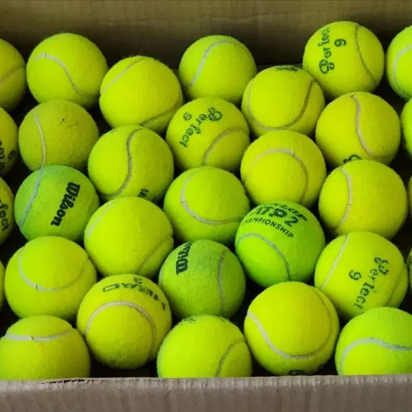 [BUNJANG] Used Tennis Balls (100 Count) - Shipping Included / 중고 테니스공 택배비 포함 팝니다.