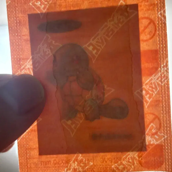 [BUNJANG] Pokemon Artwork Flat-Seal Squirtle / 포켓몬 아트워크 띠부씰 꼬부기 판매
