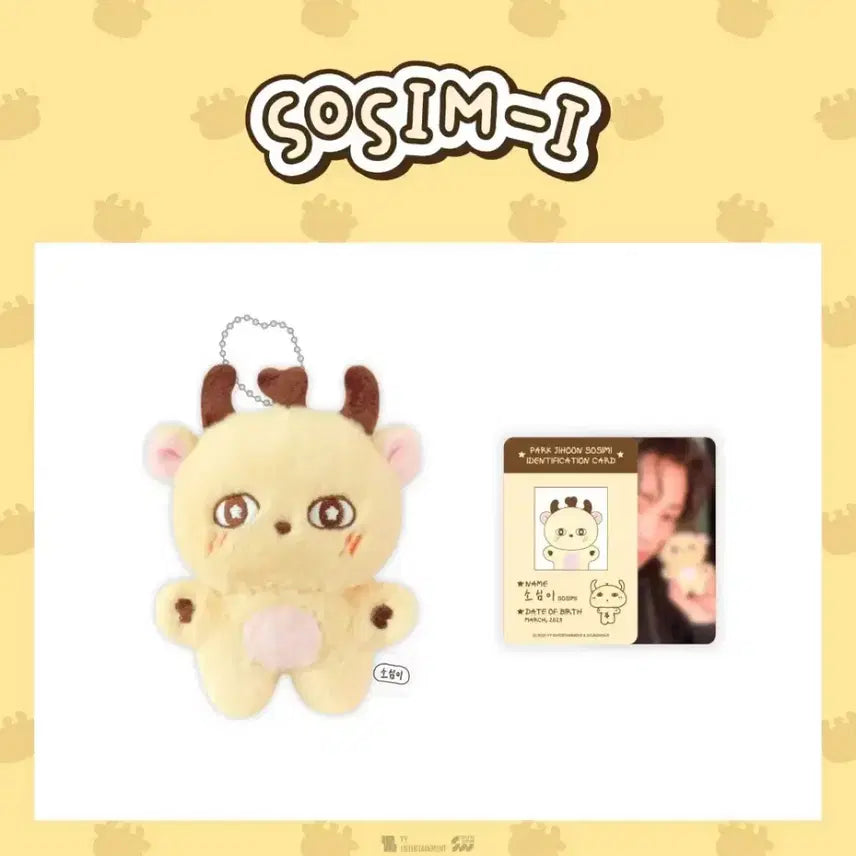 [BUNJANG] Park Jihoon "Sosimi" Doll / 박지훈 인형 소심이 양도