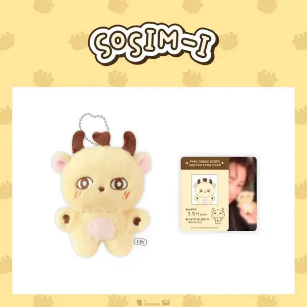 [BUNJANG] Park Jihoon "Sosimi" Doll / 박지훈 인형 소심이 양도