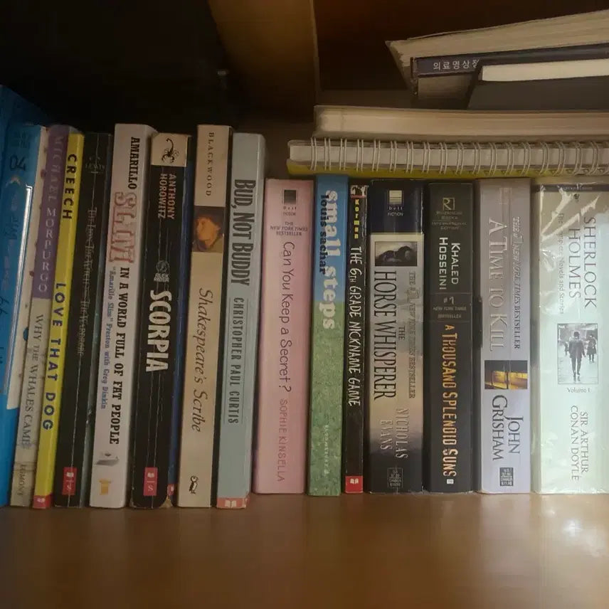 [BUNJANG] English Novels: UK Curriculum, Newbery & General Fiction Collection / 영국 초중고 커리큘럼 영문 원서 소설 대량 정리