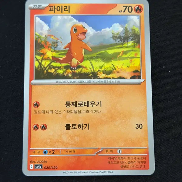 [BUNJANG] Pokemon Charmander Card / 포켓몬 카드 파이리