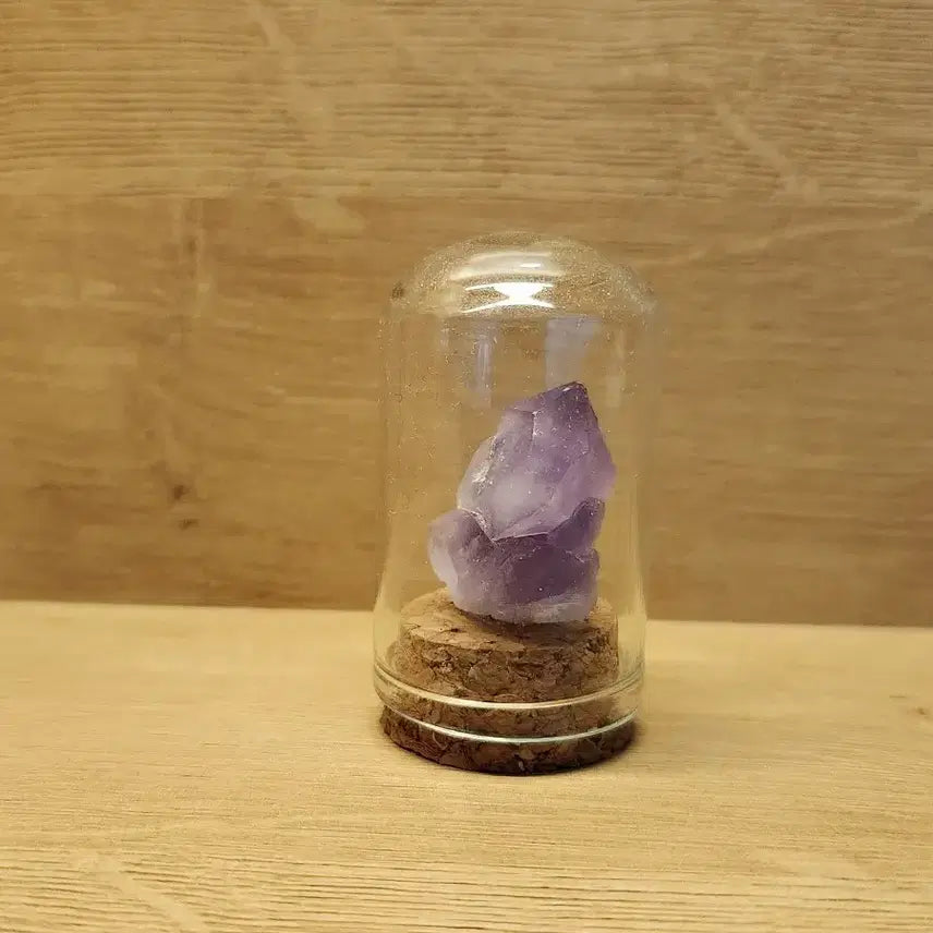 [BUNJANG] Decorative Amethyst Specimen / [과학 샘플] 교육용 자수정 샘플 (장식용)