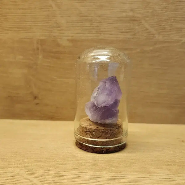 [BUNJANG] Decorative Amethyst Specimen / [과학 샘플] 교육용 자수정 샘플 (장식용)