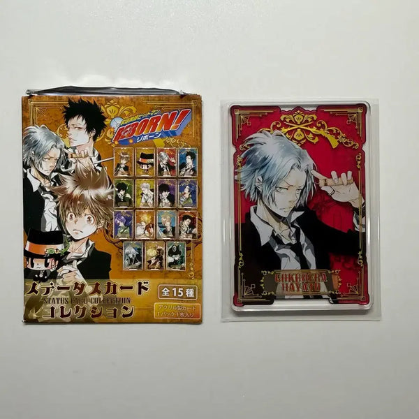 [BUNJANG] Katekyo Hitman Reborn! Reborn! Status Acrylic Gokudera / 가정교사 히트맨 리본 가히리 스테이터스 아크릴 고쿠데라