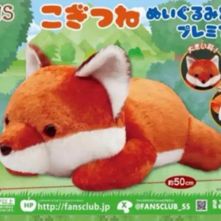 [BUNJANG] FANS Premium Fox Plush XL (50cm) / FANS 여우 코기츠네 인형 XL 프리미엄 50cm 일본 대형인형