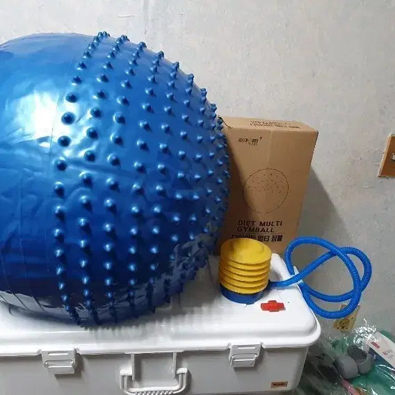 [BUNJANG] Diet Gym Ball (Blue) with Pump / 082-다이어트 짐볼 블루 + 펌프