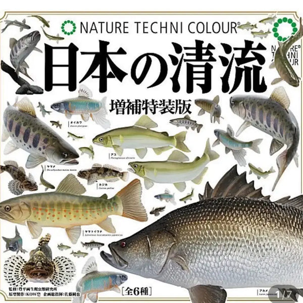 [BUNJANG] Freshwater Fish Full Set Gacha Figures / 일본가챠 생물가챠 민물고기 풀셋판매