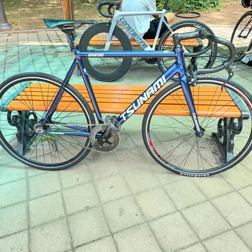 [BUNJANG] Tsunami Chameleon Bicycle / 쓰나미 카멜레온(판완)