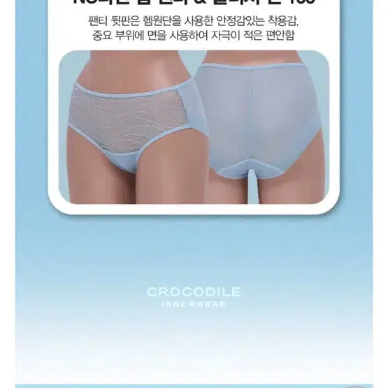 [BUNJANG] Women's Panties (Large, Sealed) - Pack of 5 / 여성팬티 / 개당 / 미개봉 / 라지사이즈