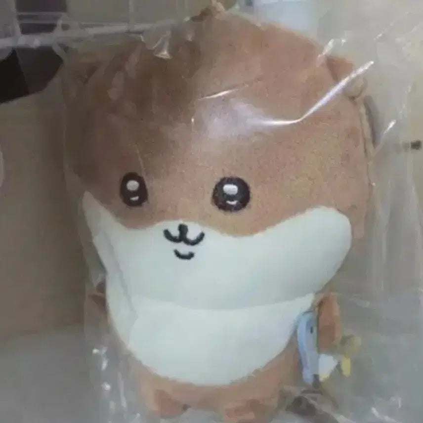 [BUNJANG] Nagano Sea Otter D Award Mascot / 나가노 해달 d상 마스코트