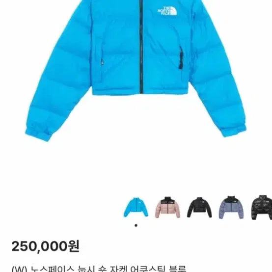 [BUNJANG] The North Face Nuptse Short Jacket Blue S / 노스페이스 눕시 숏 자켓 블루 s