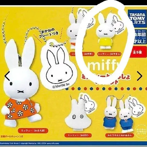 [BUNJANG] Miffy Gacha Capsule / 미피와 함께 가챠