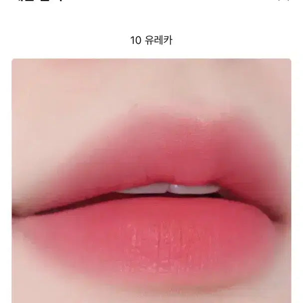 [BUNJANG] Tuker Tint #10 Eureka / 투크 틴트 10호 유레카